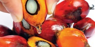 The Most Magical Health Benefits of Palm Oil